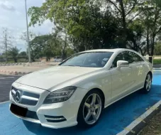 MERCEDES-BENZ CLS250D AMG(2013) 