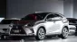 2020 Lexus NX300h 2.5 Luxury SUV -0